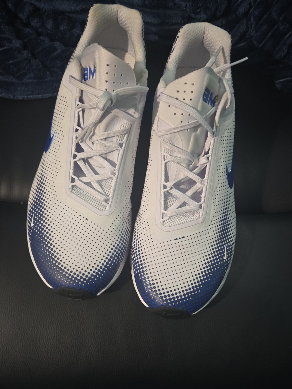 Nike White Mesh Casual Sneakers